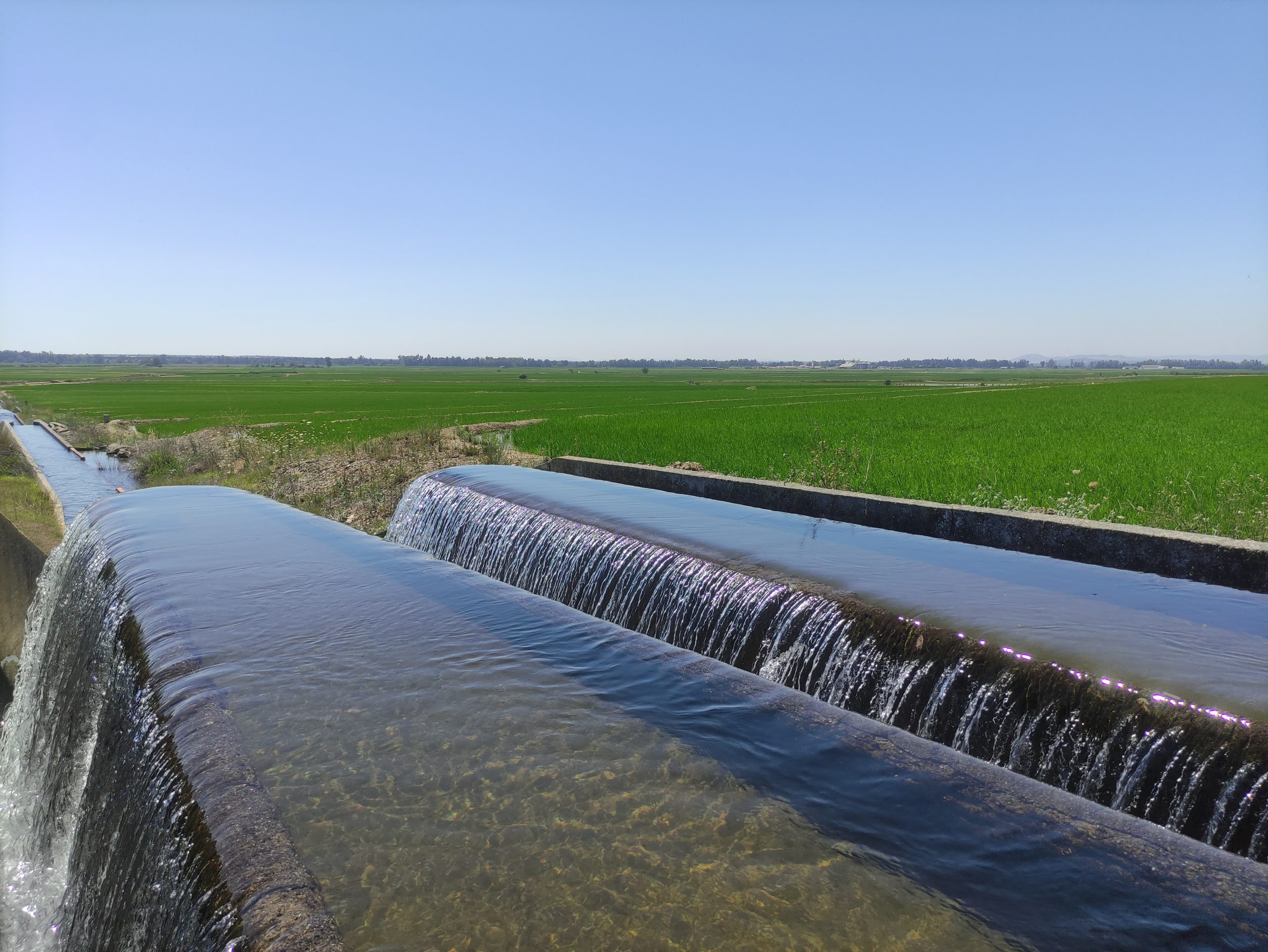 Propuesta de distribución de agua para riego de la campaña 2023 en la zona regable del Canal de Orellana